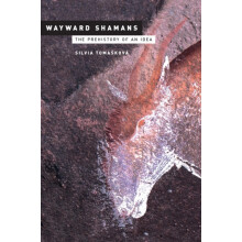 Wayward Shamans by Silvia Tomaskova Paperback Book