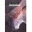 Wayward Shamans by Silvia Tomaskova Paperback Book 1