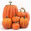 7 Pack Halloween Artificial Pumpkins Mini Faux Pumpkin Decorations 1
