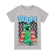 (11-12 Years) Minecraft Short Sleeved T-Shirt (Boys Grey)