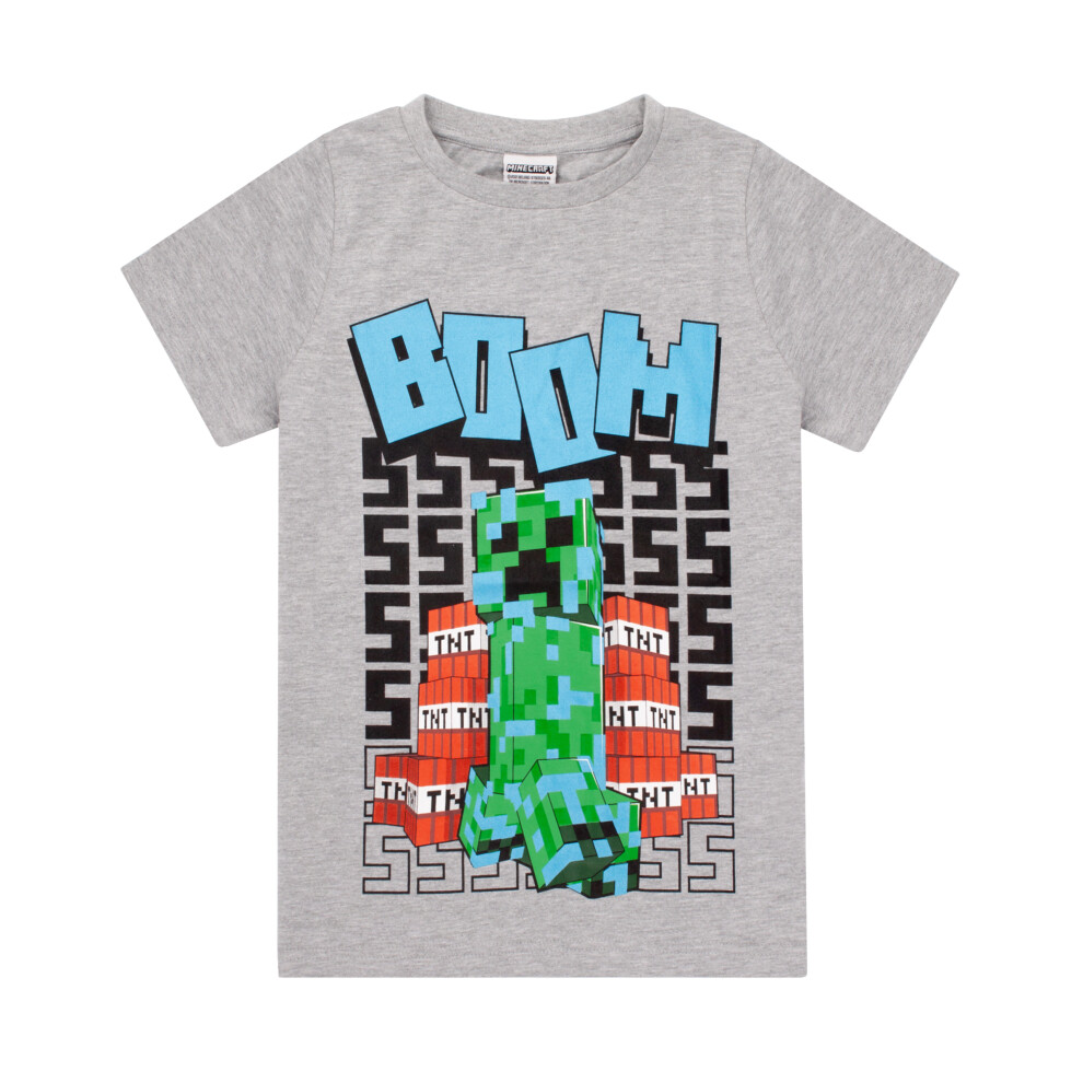 Minecraft (11-12 Years) Short Sleeved T-Shirt (Boys Grey)