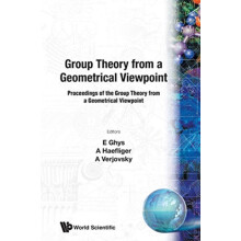 GROUP THEORY FR A GEOMETRICAL VIEWPOINT by VERJOVSKI HAEFLIGER VERJOVS