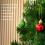 Pacote com 49 Bolas de Natal, Enfeites para Árvores, Bolas Pequenas Penduradas À Prova de Quebra, 1,18 Polegadas 6