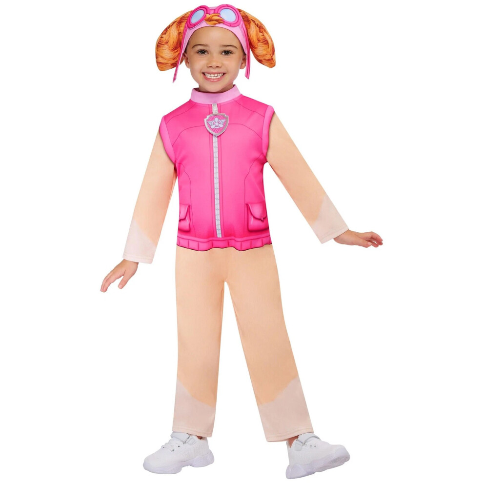 Photos - Fancy Dress Paw Patrol   Childrens/Kids Skye Flower Costume Set (4 Years, Pink/Beige)