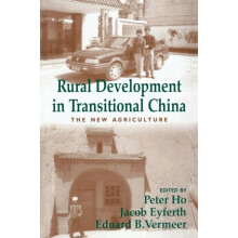Rural Development in Transitional China The New Agriculture Paperback