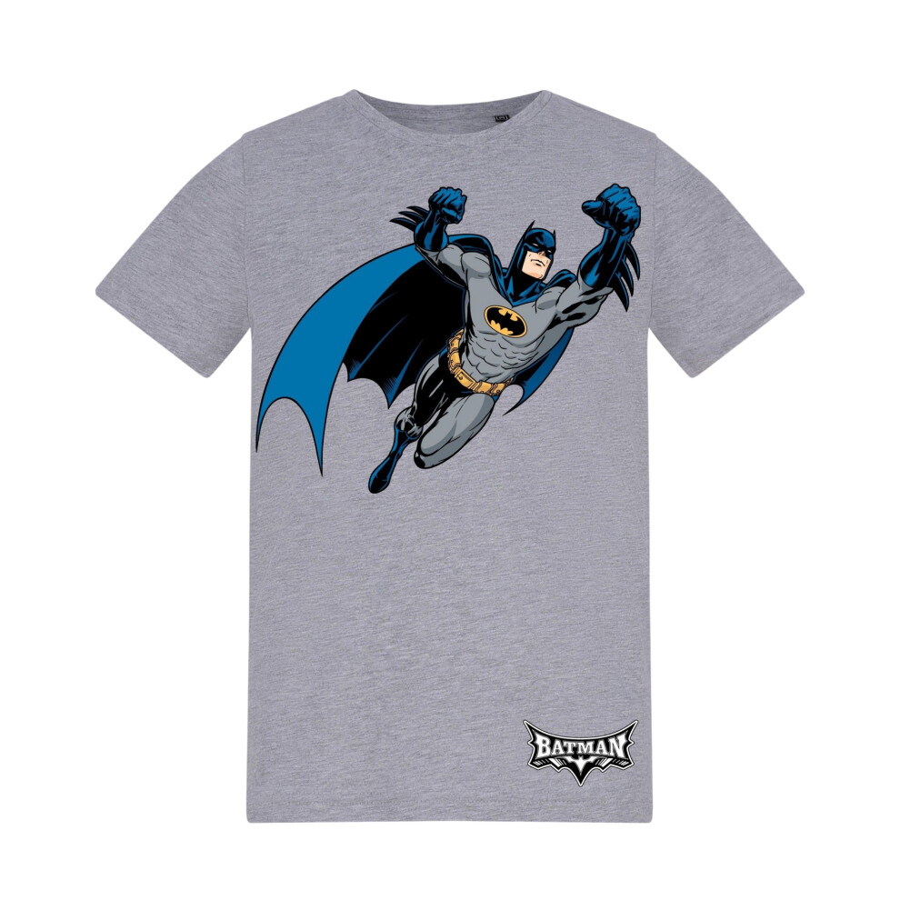 Batman (3-4 Years, Grey) Childrens/Kids T-Shirt