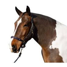 (Cob, Purple/Lilac) Gallop Diamond Leather Padded Horse Headcollar