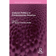 Cultural Politics in Contemporary America Paperback Book