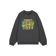 (Small) Teenage Mutant Ninja Turtles Sweatshirt (Mens Grey)