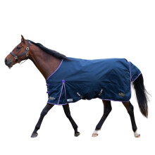 (5' 6", Navy) Gallop Trojan Standard-Neck 5-Point Duraproof Lightweight Horse Turnout Rug