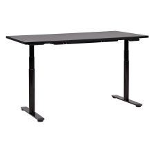 Electric Adjustable Standing Desk DESTINAS 160 cm 72 cm Black