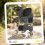 PawHut Carrito para Perro Gris 77 x 44 x 102 cm 3