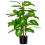 Homcom Planta Artificial Verde 17 x 17 x 95 cm 1