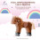 Homcom Caballito Infantil Marrón 55 x 23 x 60 cm 4