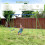 Outsunny Columpio de Jardín Verde 280 x 140 x 178 cm 5