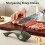 Knife Sharpener, 6 Adjustable Sharpening Angle, Coarse & Fine Knife Sharpener with Adjustable Angle Guide (Dark Green) 2