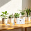 1set Watering System, Drip Irrigation Kit, Adjustable Water Flows Control,  Home and Offices Plant Watering Device 7