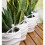 1set Watering System, Drip Irrigation Kit, Adjustable Water Flows Control,  Home and Offices Plant Watering Device 8