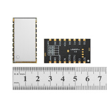Moduł LoRa600Pro 100 MW LoRa z Podwójnym Portem Antenowym 5 TTL 40-Kanałowy Moduł Komunikacji Bezprzewodowej LoRa 915 MHz