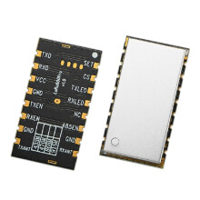 LoRa600Pro 100mW LoRa Module Dual-Antenna Port 40CH 5KM TTL LoRa Serial Wireless Communication Module 433Mhz