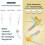 6 Sets Silicone Charging Cable Protector for /USB, Anti-Breakage, Dustproof Organizer Protection 1