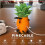 Cable Management Box Pineapple Shape 3D Printing Decorative Case Desktop Charging Cable Organizer for Travel 4