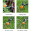 Automatic Watering Timer, Knob Type Timed Irrigation Mechanical Controller, Intelligent Timed Spraying Timer 3