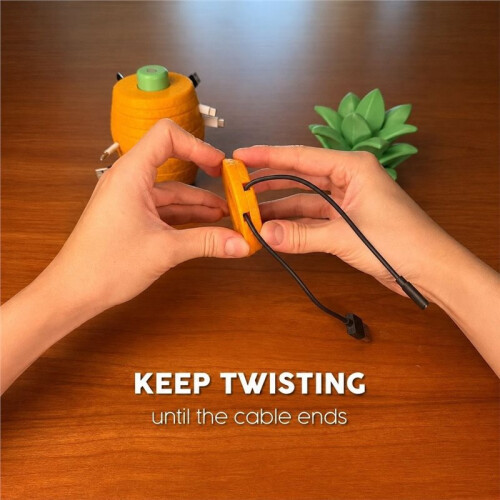 Cable Management Box Pineapple Shape 3D Printing Decorative Case Desktop Charging Cable Organizer for Travel 2