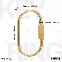 10 Pcs Gold Brass Key Rings, Secure Screw Lock Anti Theft Keychain Clip, Suitable for Daily Key Storage Purse Charms