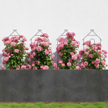 Tuinrekset van 4, metalen klimplantensteun