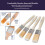 Hamilton Hamilton Fine Tip Emulsion Gloss Paint Brushes 4 Pack 4