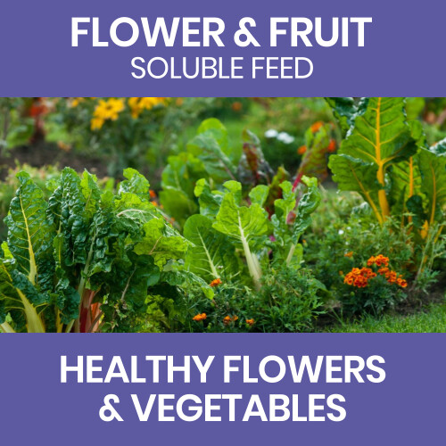 Vitax Vitax Vitafeed 102 Flower Fruit Plant Feed 500g 1