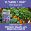 Vitax Vitax Vitafeed 102 Flower Fruit Plant Feed 500g 4