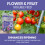 Vitax Vitax Vitafeed 102 Flower Fruit Plant Feed 500g 6