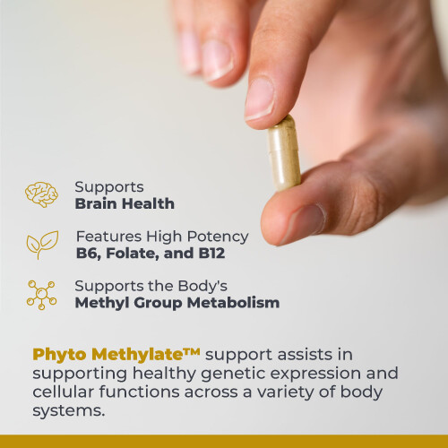 Premier Research Labs Premier Research Labs Phyto Methylate 60 Plant-Source Capsules 2