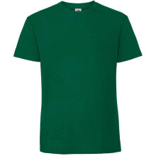 (3XL, College Green) Fruit Of The Loom Mens Ringspun Premium T-Shirt