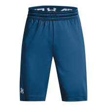 (5-6 Years, Blue) Under Armour Boys Logo Shorts