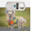 2023 New Animal Chip Digital Scanner Pet Id Reader-Yvan 4