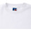 Russell (2XL, White) Russell Mens Authentic Sweatshirt (Slimmer Cut) 3