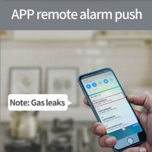 Atualização para casa inteligente na Black Friday: Detector de gás Wi-Fi com alertas remotos Tuya - YXY