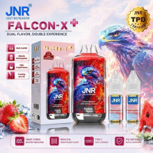 JNR Falcon-X 28K Strawberry Watermelon Ice Vape Rechargeable 2 Flacons 10ml 20mg Batterie 950mAh