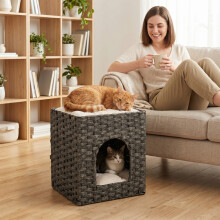 PawHut 2-Tier Wicker Cat House, Rattan Cat Bed with Washable Cushions