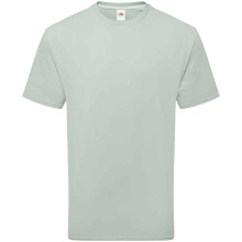 (XL, Sage) Fruit of the Loom Unisex Adult Cotton T-Shirt