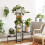 Living And Home Modern 5-Tier Foldable Metal Plant Stand 2