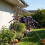 Living And Home Halloween Giant Black-Purple Striped Plush Spider with 7M Triangular Spider Web 1