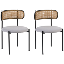 Set of 2 Dining Chairs ANDOVER Metal Black