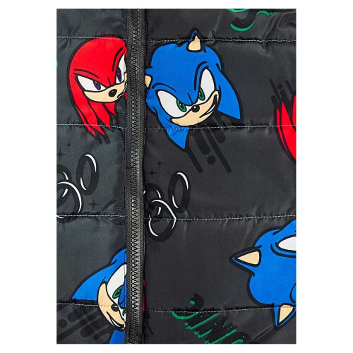 Sonic The Hedgehog Sonic The Hedgehog Childrens/Kids Gilet 2