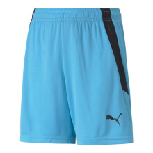 (15 Years, Blue Atoll/Black) Puma Childrens/Kids Team Liga Football Shorts