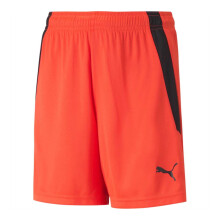 (13 Years, Classic Red/Black) Puma Childrens/Kids Team Liga Football Shorts