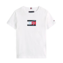 (12 Years, White) Tommy Hilfiger Childrens/Kids Script Logo T-Shirt